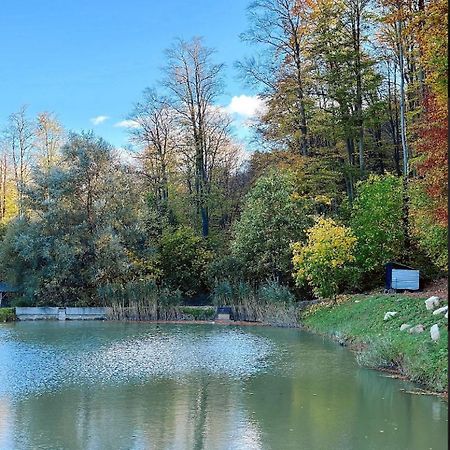 Hotel Orlyne Gnizdo Černovice Exteriér fotografie