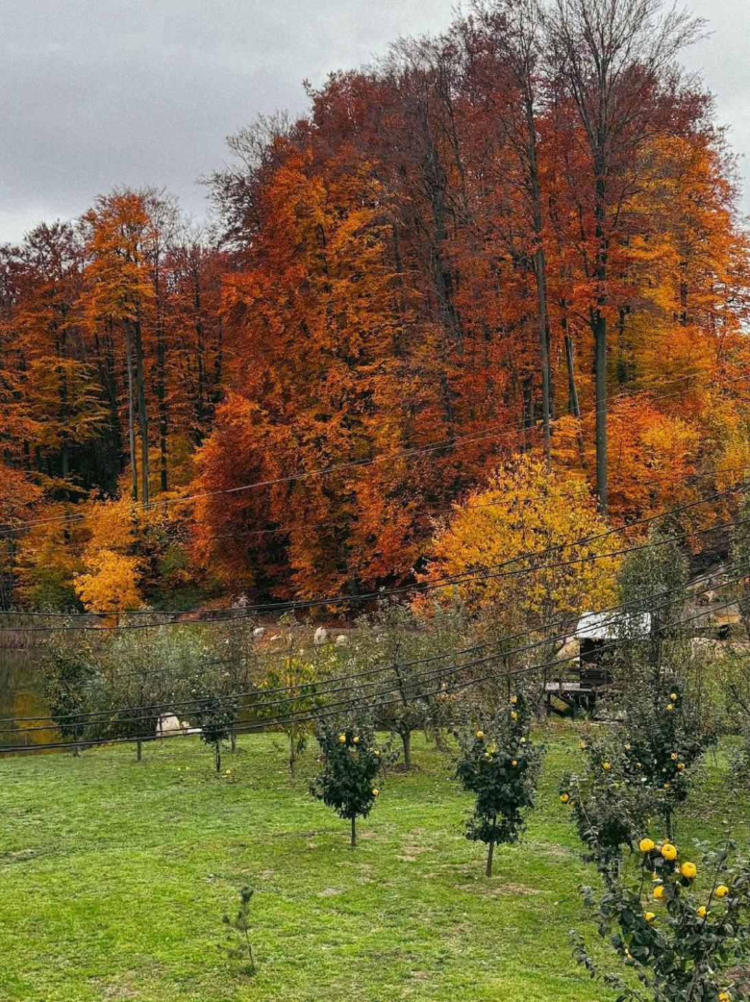 Hotel Orlyne Gnizdo Černovice Exteriér fotografie